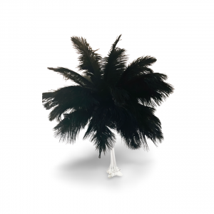 Black Feather Arrangement in Eiffel Tower
