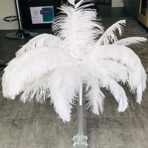 White Feather Arrangement in Eiffel Tower
