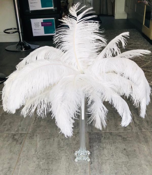 White Feather Arrangement in Eiffel Tower